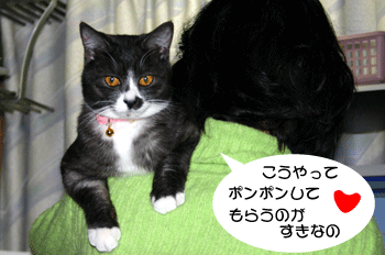 a0041108_21444461.gif