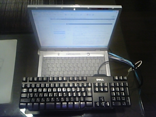 e0073808_1153368.jpg