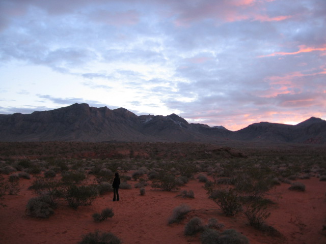 f0127915_1523087.jpg