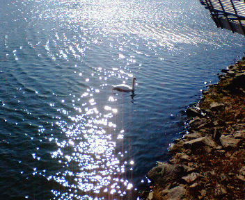 b0052816_10102723.jpg