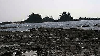 f0000521_13202742.jpg