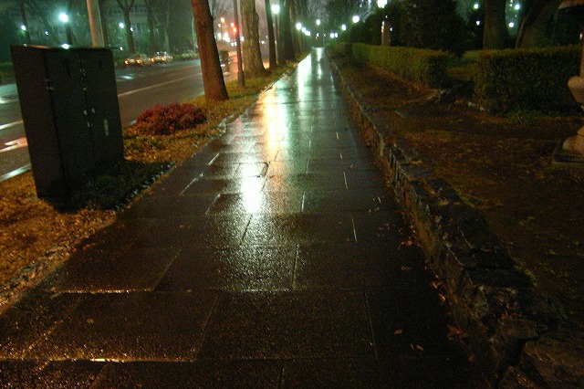 c0003830_0333818.jpg