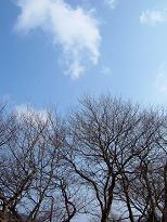 b0072234_21394313.jpg