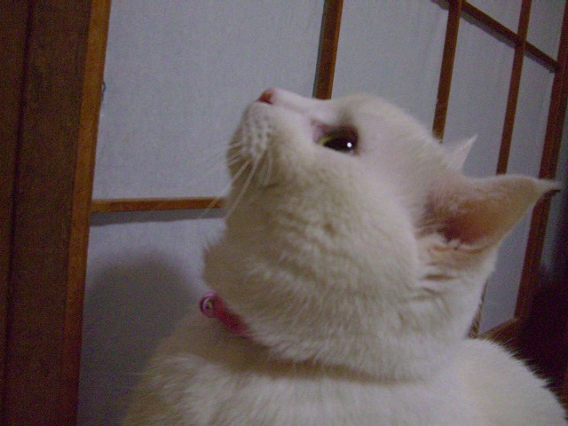 b0097145_0101918.jpg