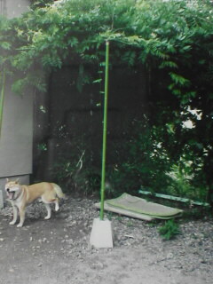 d0070047_22352478.jpg