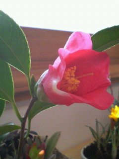 f0088647_17473963.jpg