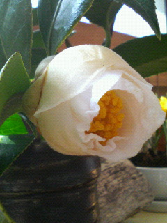 f0088647_17491379.jpg
