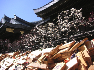 a0003150_1291926.jpg