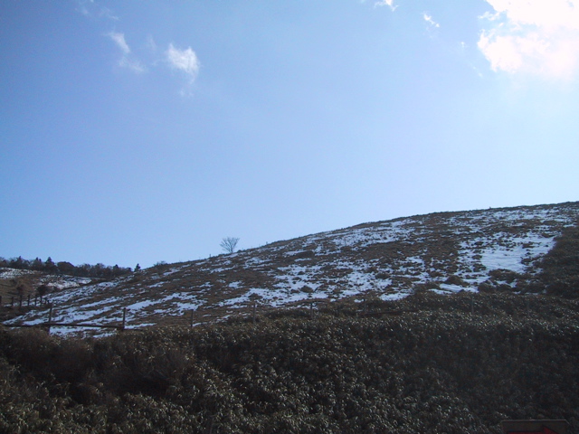 f0046250_16475896.jpg
