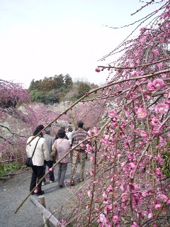 f0091250_21512385.jpg