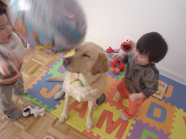 e0015154_11561899.jpg