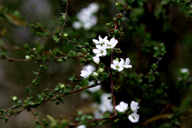f0044056_1722818.jpg