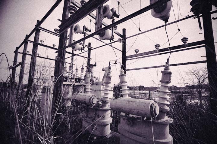 e0067463_5534727.jpg