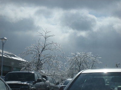e0015270_2421213.jpg