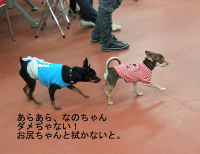 c0012571_0512113.gif