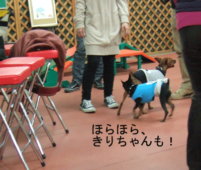 c0012571_0515913.gif