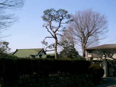 c0112172_2240389.jpg