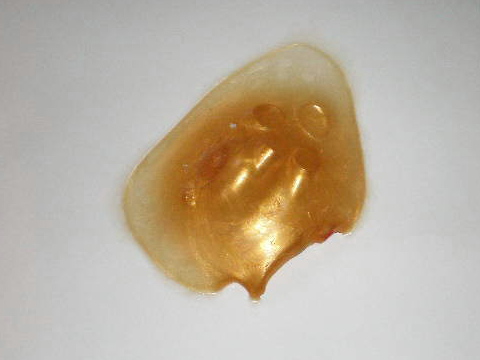 f0007580_2261514.jpg