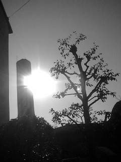 f0100480_11301573.jpg