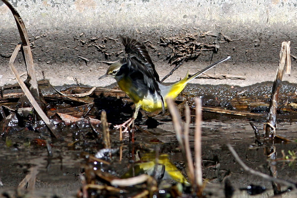 a0083081_1815383.jpg