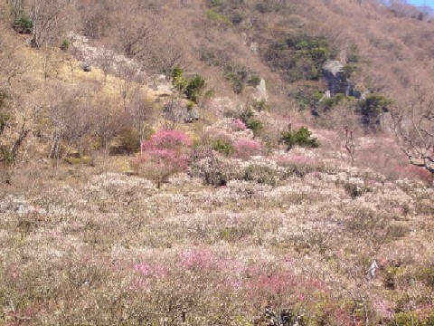 e0114588_15401550.jpg