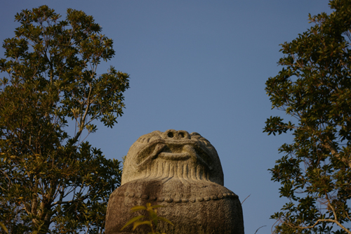 b0080789_13453893.jpg