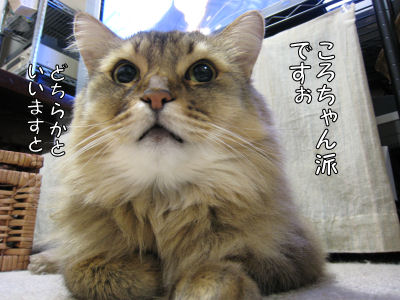 a0045990_22235389.jpg