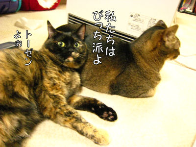 a0045990_22251455.jpg