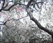 e0017290_19303636.jpg