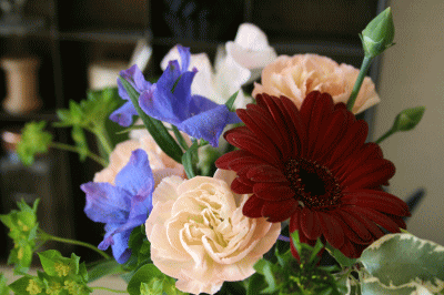 d0100192_10402936.gif