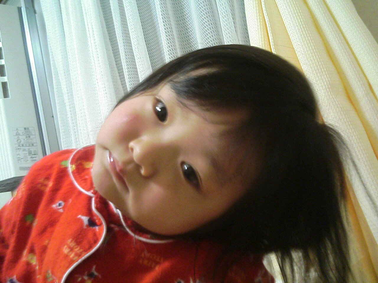 b0062394_22452357.jpg