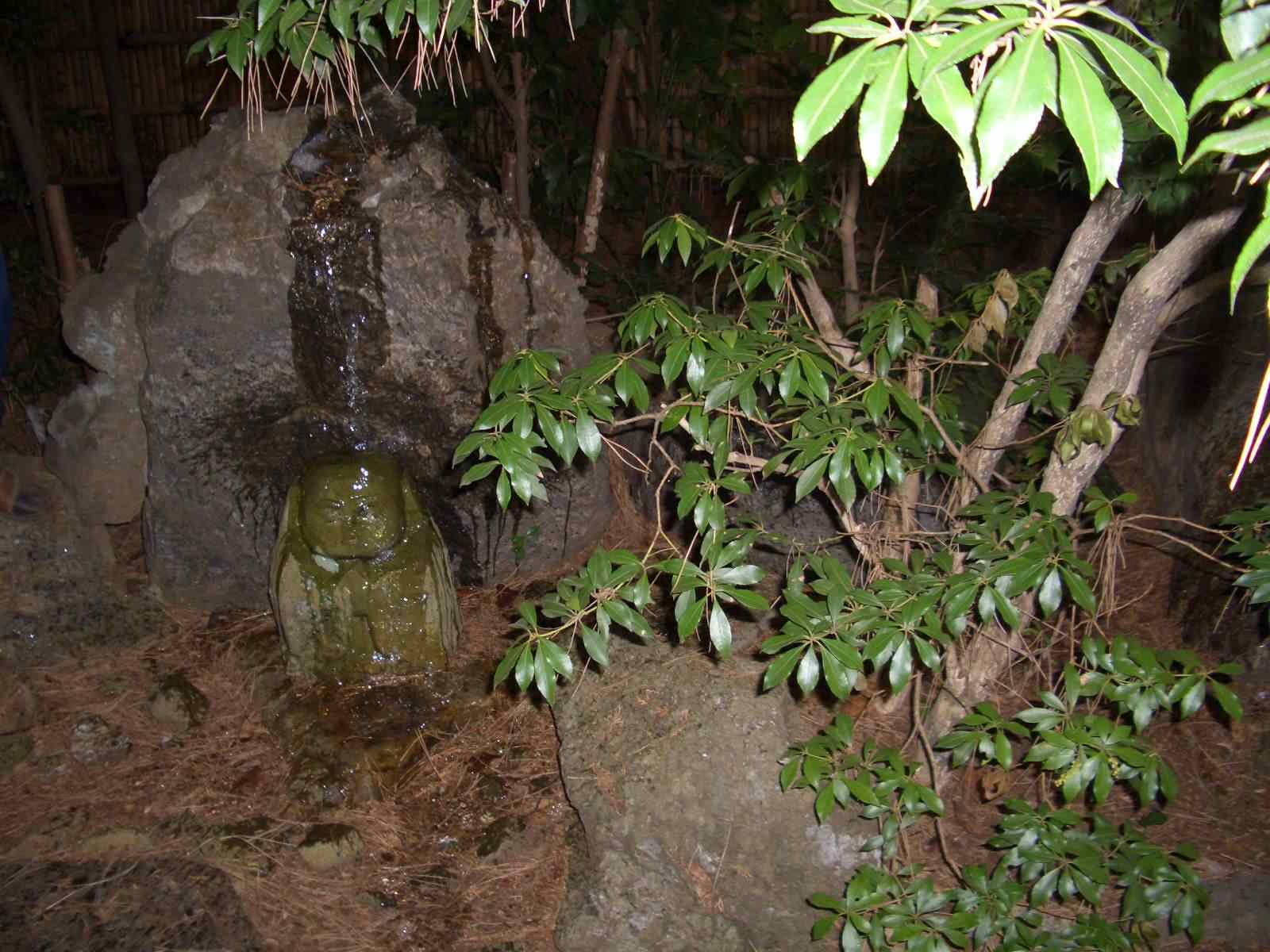 c0011796_232742.jpg