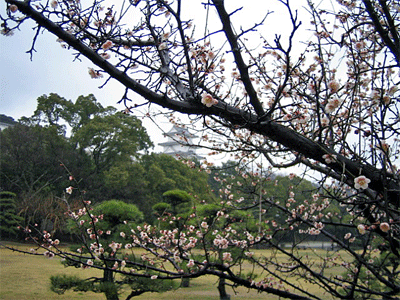 b0108100_14452219.gif