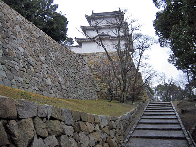 b0108100_1445933.gif