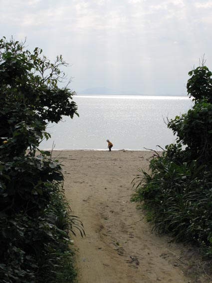 e0064400_5343328.jpg