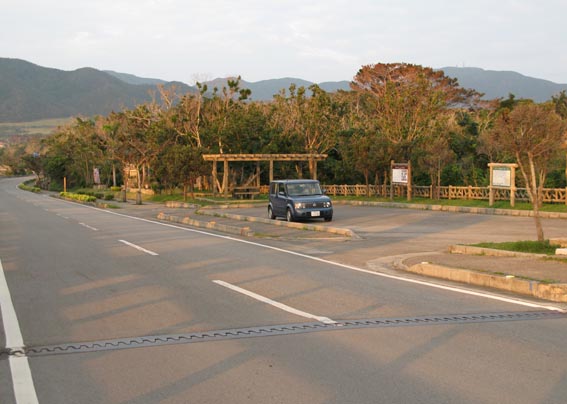 e0064400_536252.jpg