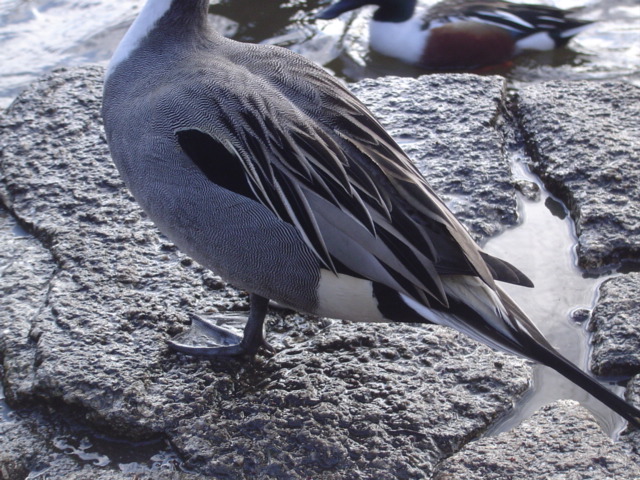 c0006904_17494192.jpg