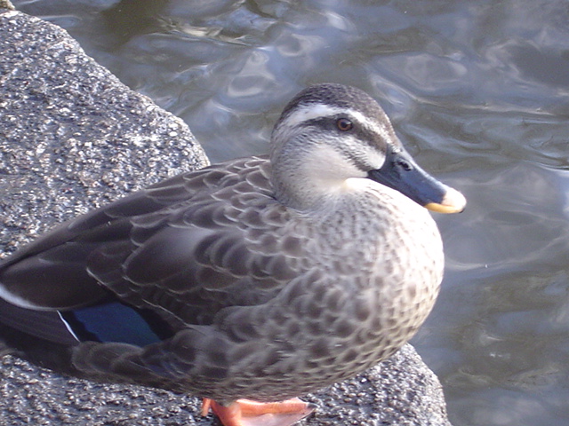 c0006904_18223227.jpg