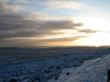 d0051707_5475255.jpg