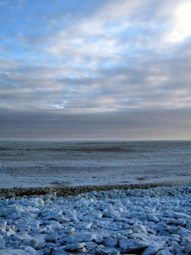 d0051707_5544199.jpg