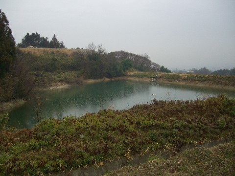 d0007913_035545.jpg