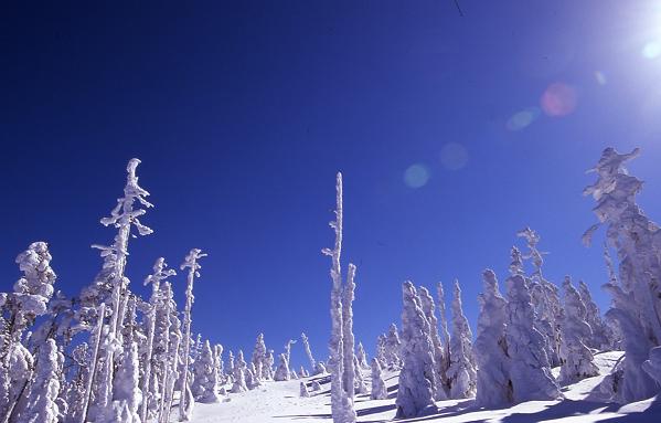 e0071020_21195322.jpg