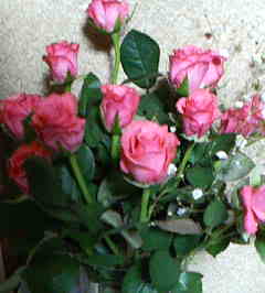 c0038722_23322257.jpg