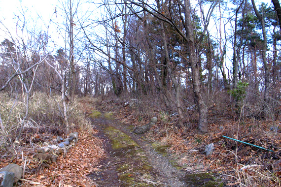 d0090322_21315351.jpg
