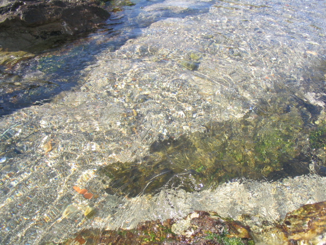 c0086230_20492555.jpg