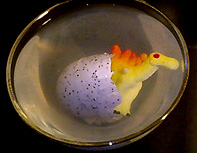 f0039934_121526.jpg