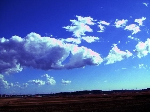 c0031856_21242422.jpg
