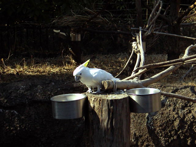c0031856_23101272.jpg