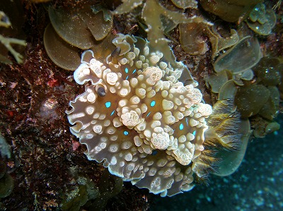 a0079659_2153630.jpg