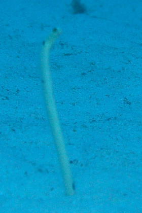 d0056263_230158.jpg